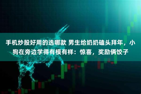 手机炒股好用的选哪款 男生给奶奶磕头拜年，小狗在旁边学得有模有样：惊喜，奖励俩饺子