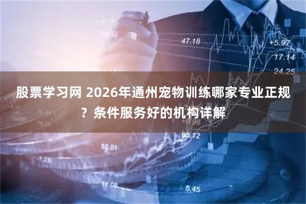 股票学习网 2026年通州宠物训练哪家专业正规？条件服务好的机构详解